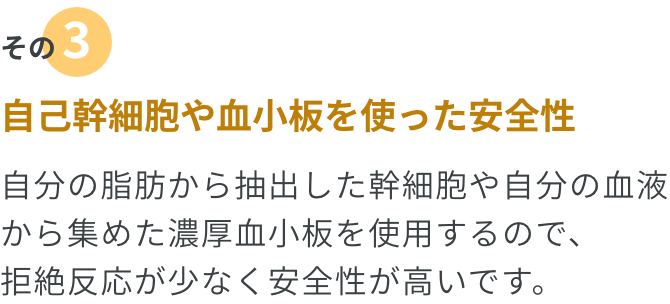その3.安全性